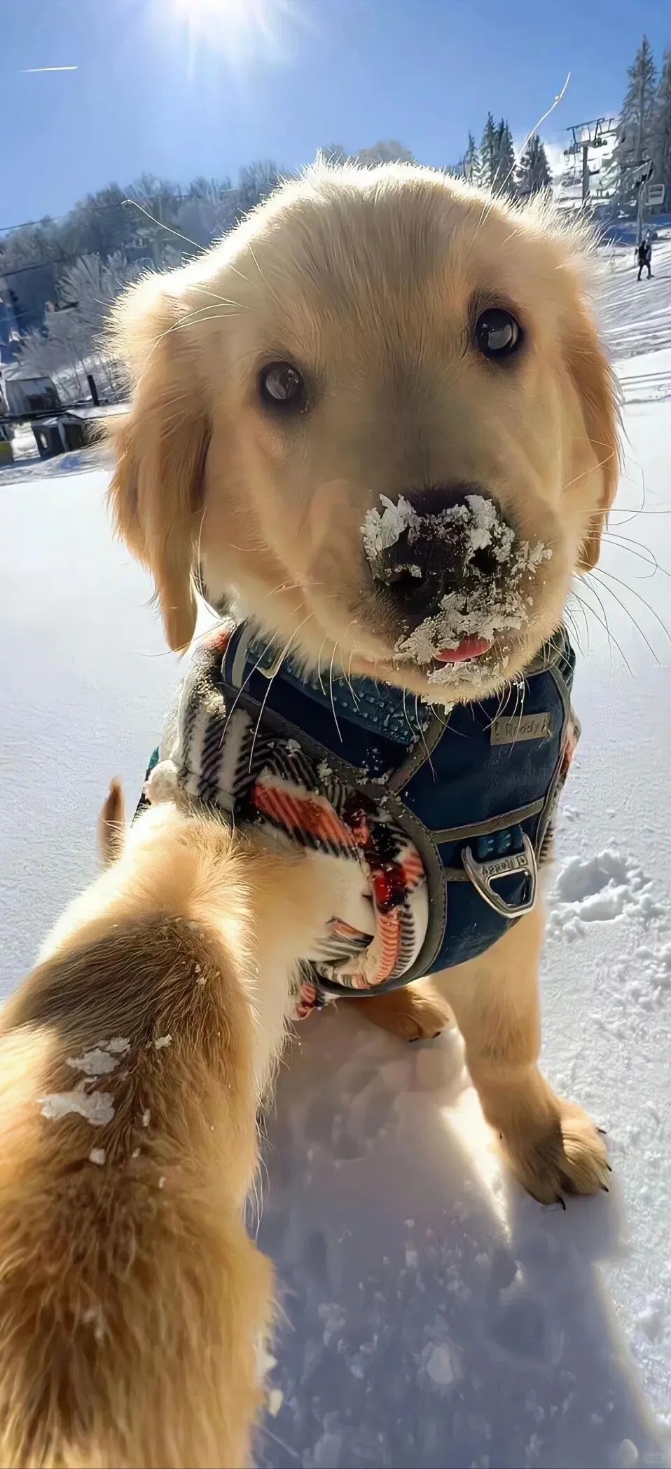 	【小红书】疯狂联名战背后：品牌为何集体“上头”？ 