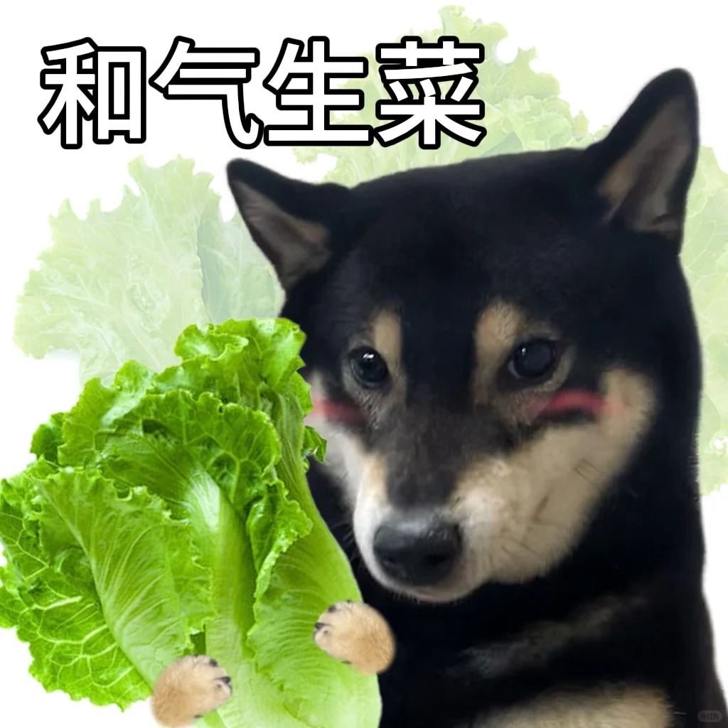 【小红书】你的手机太“听话”，你会害怕吗？