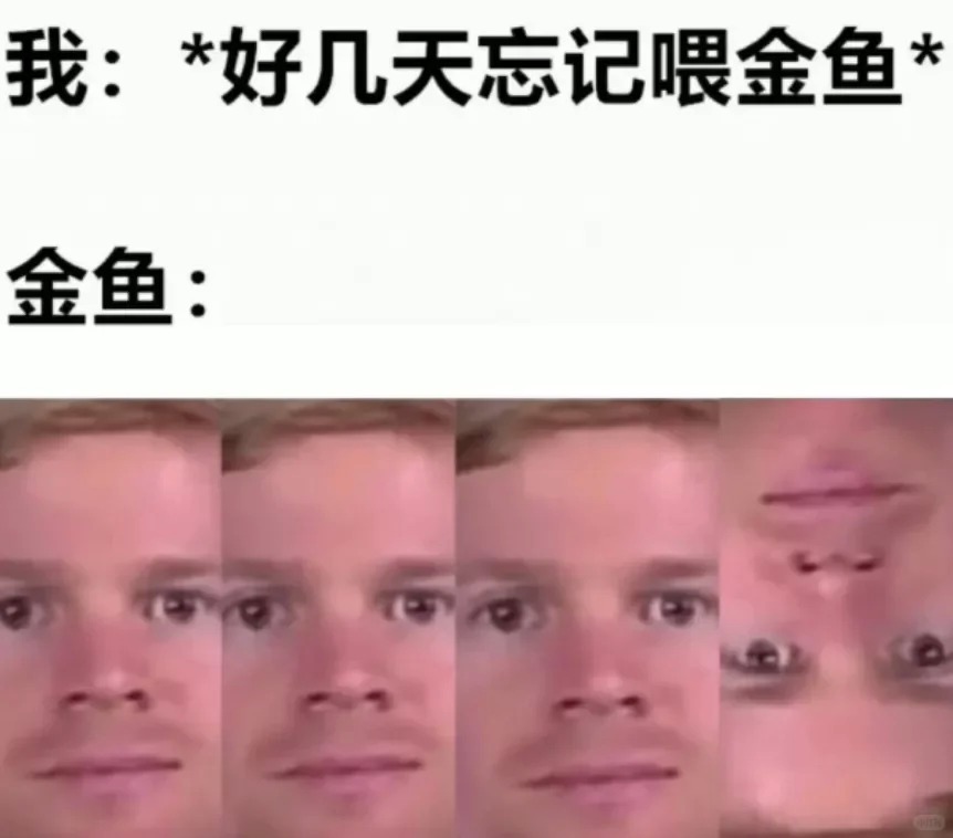 	【小红书】银杏与辣味交织，探访粤北秘境南雄 