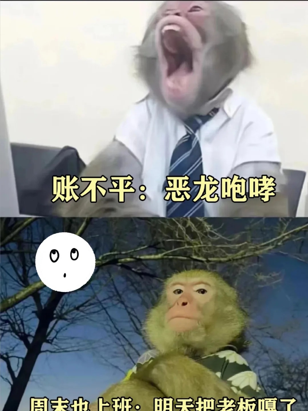 	【小红书】当研发变得“过于理性”，产品如何破局？