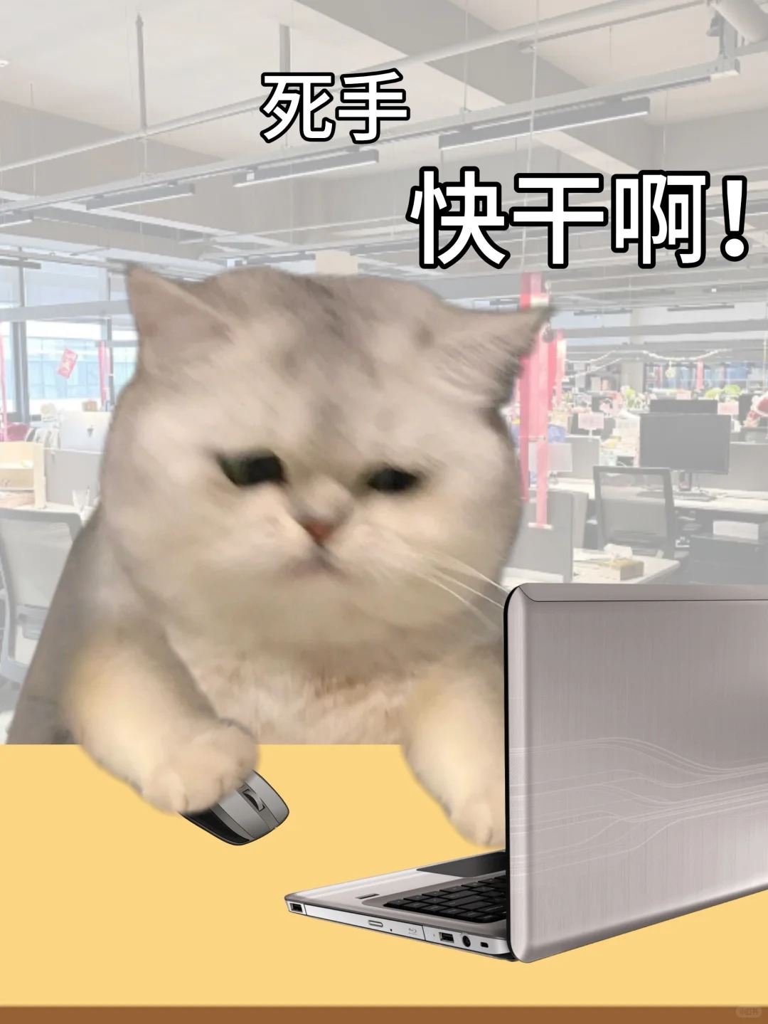 	【小红书】年底算薪，最怕哪件事？ 